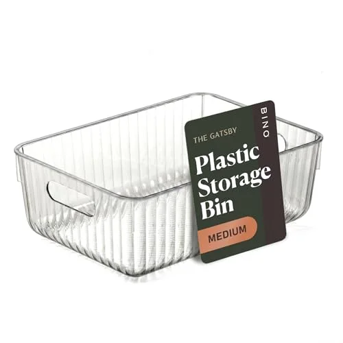Plastic Storage Bins, Medium