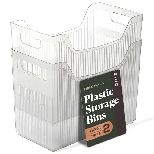 Plastic Storage Bins, Wide - 2 Pack