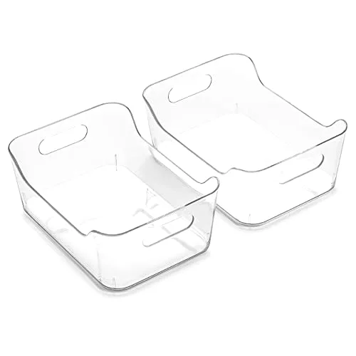 Plastic Storage Bins, X-Small - 2 Pack, Clear